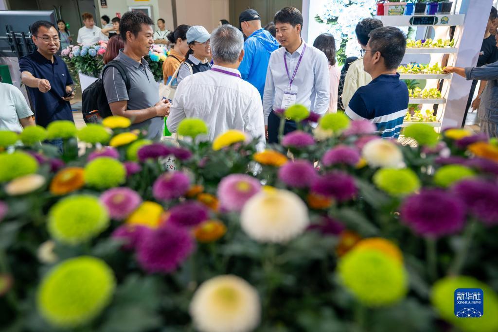 新濠天地登录网站
